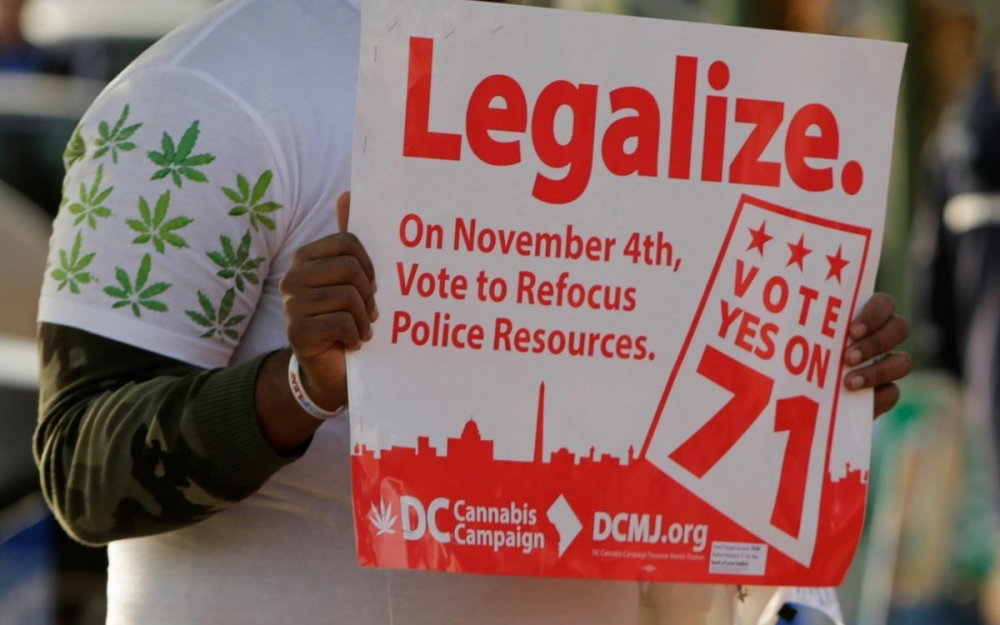 cannabis-legalization-supporter.jpg