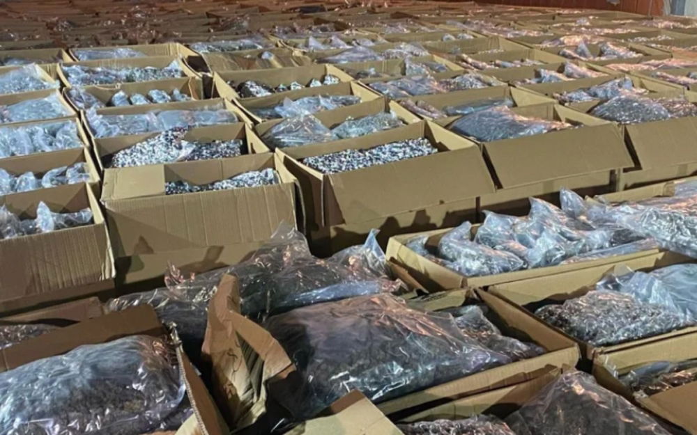 marijuana-seized-serbia.jpg