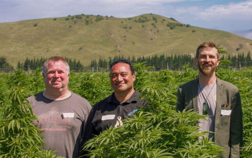 tom-forrest-cannabis-farm.jpg