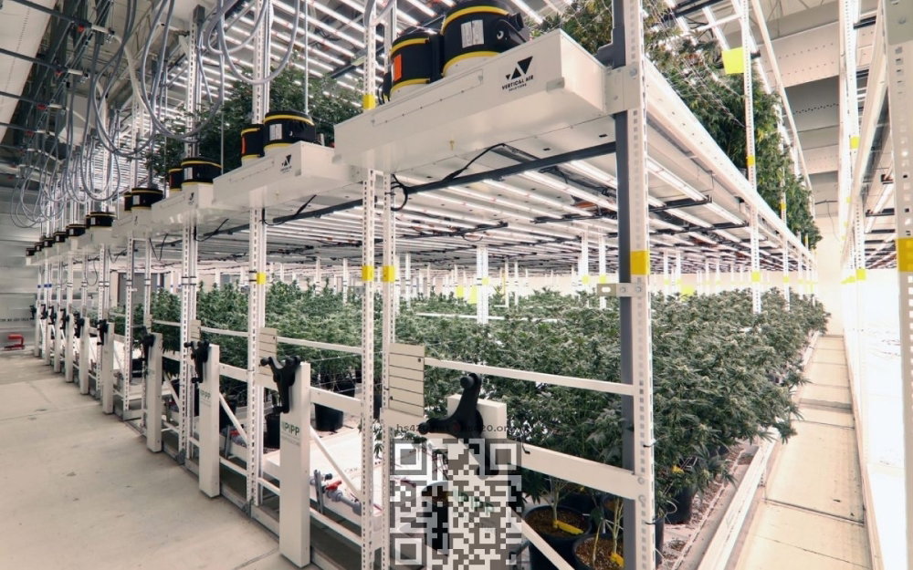 trulieve-cannabis-farm.jpg