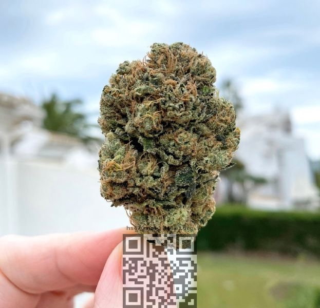 wedding-cake-marijuana.jpg