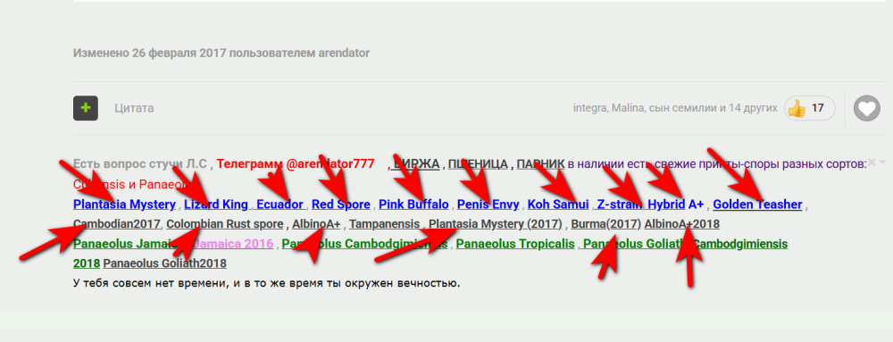 Opera_2026-03-15_181551_hs420_net.thumb.png.5203ea6570ab50cc0211cba6e99f53b8.png