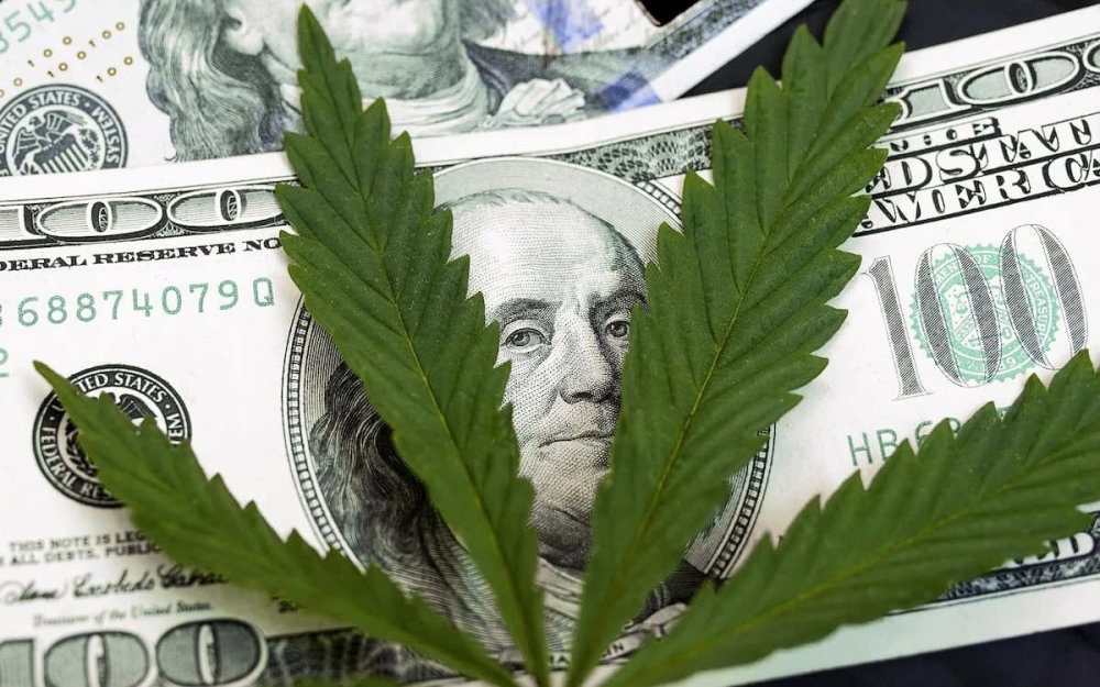 cannabis-companies-ran-out-of-money.jpg