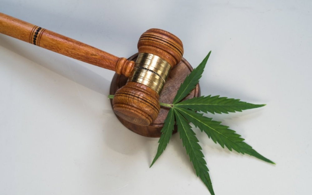cannabis-verdict.jpg