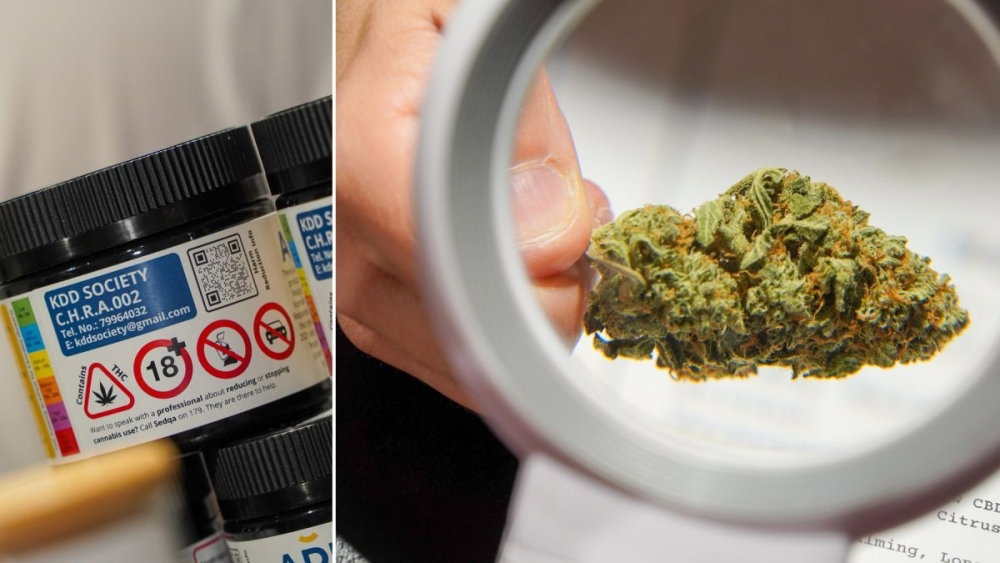 marijuana-sold-malta-club.jpg