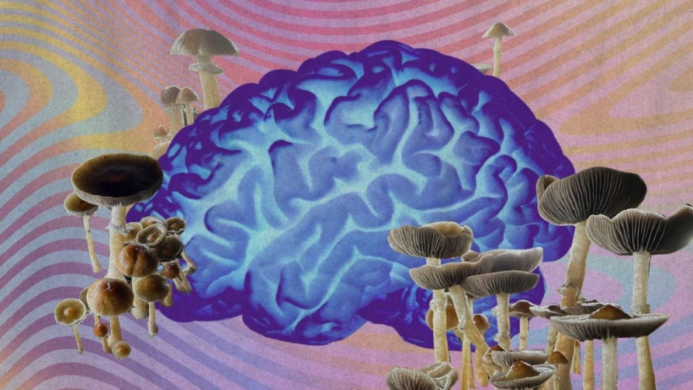 psilocybin-mushrooms-brain.jpg