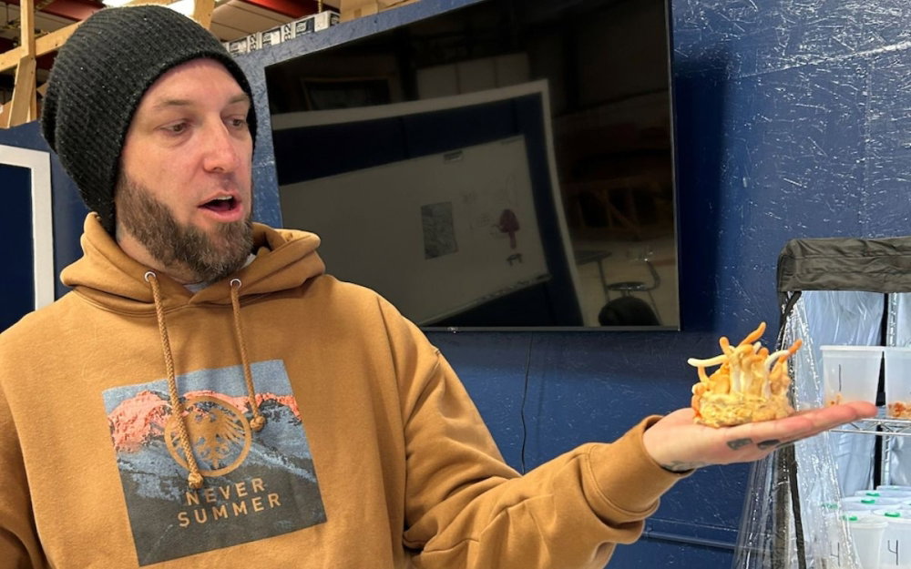 shawn-cox-mushrooms-dealer.jpg