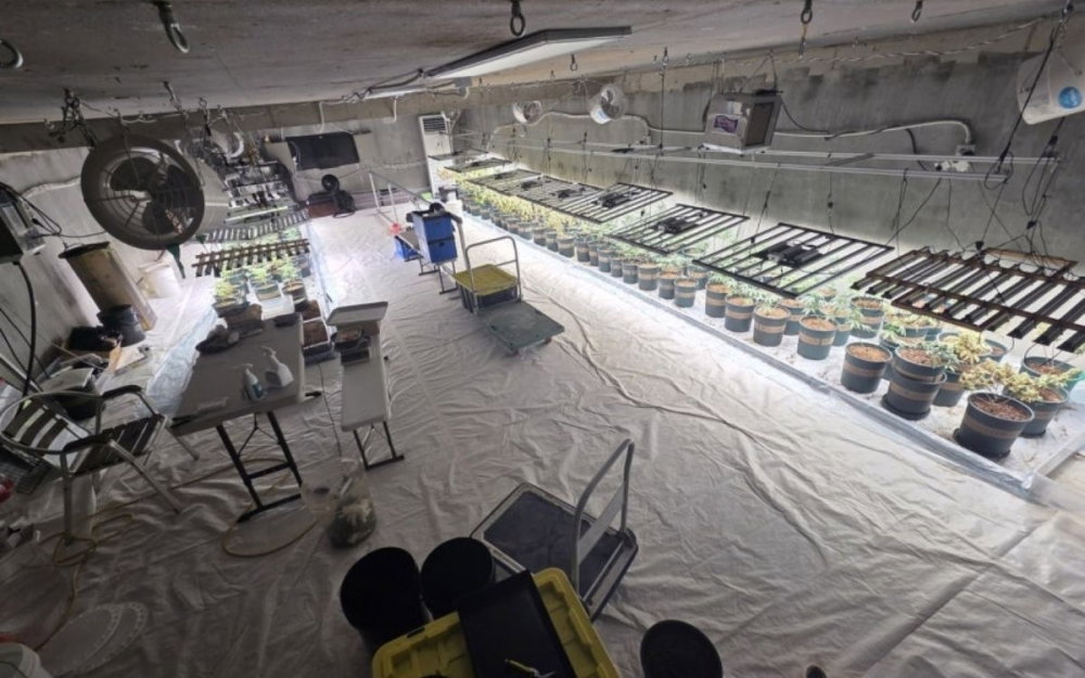 underground-cannabis-farm-south-korea.jpg