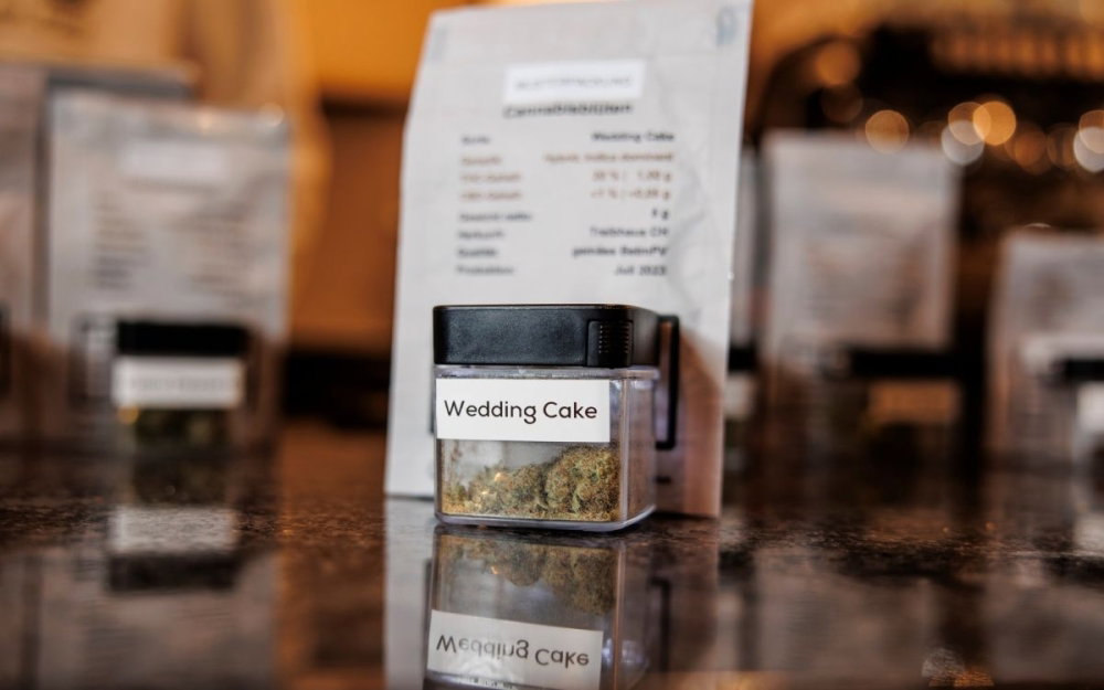 20-percent-marijuana-sold-zurich.jpg
