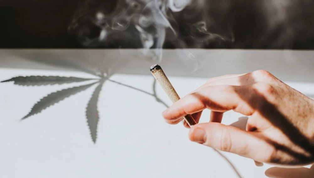 cannabis-smoke.jpg