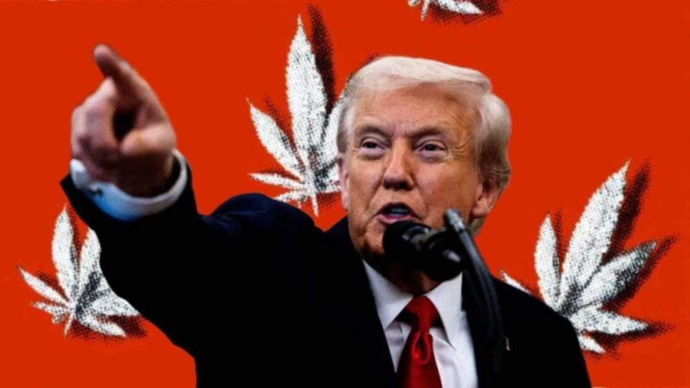 donald-trump.jpg