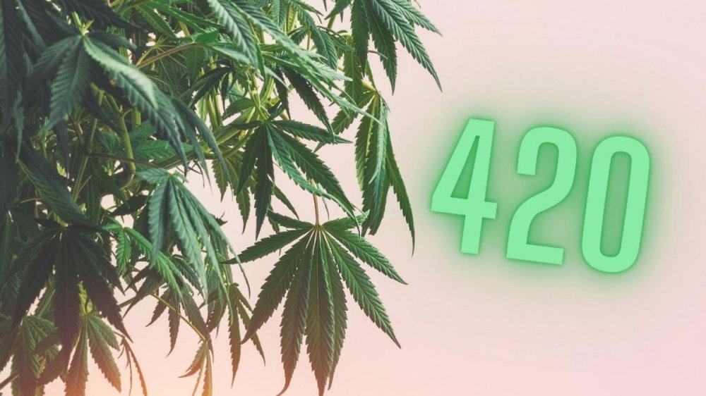 police-tried-to-ckack-down-on-420-celebrations.jpg
