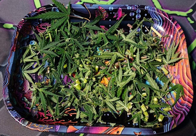 trim.jpg.741dfdc1e5a3029a0d9c1554f24cc63a.jpg