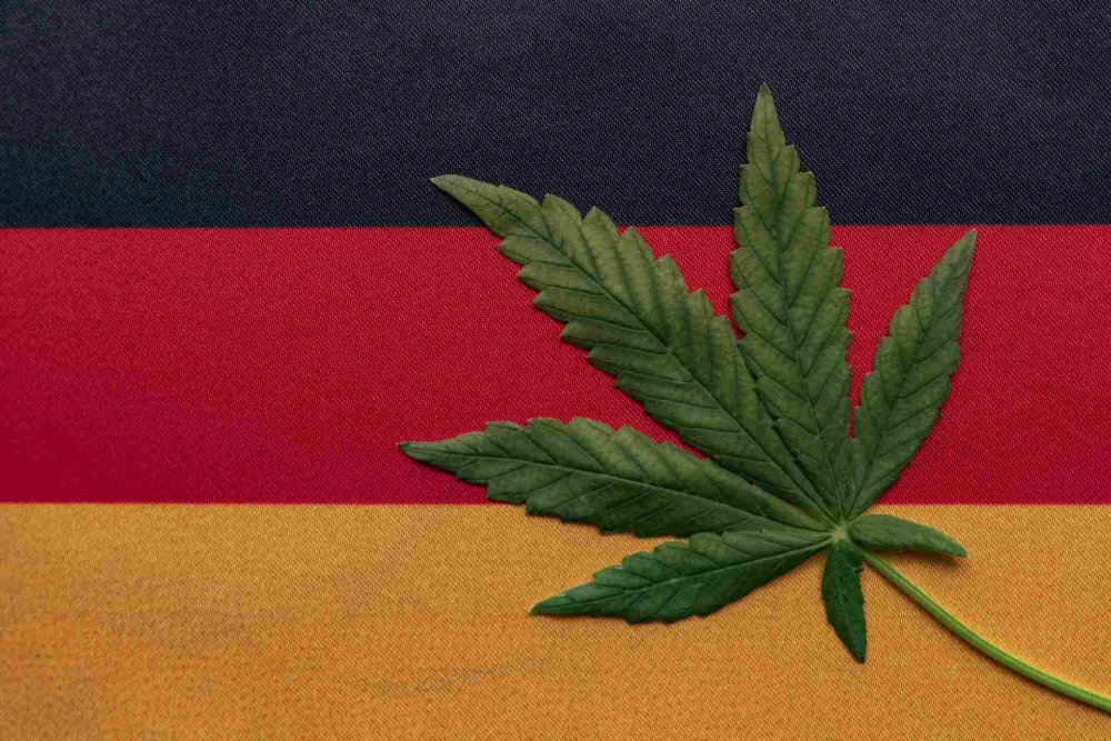 Germanys-Medical-Cannabis-Boom-What-the-Data-Really-Tells-Investors.jpg