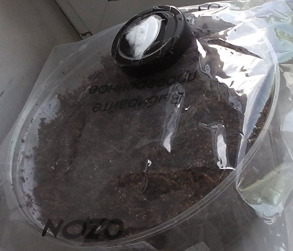S1380005.JPG