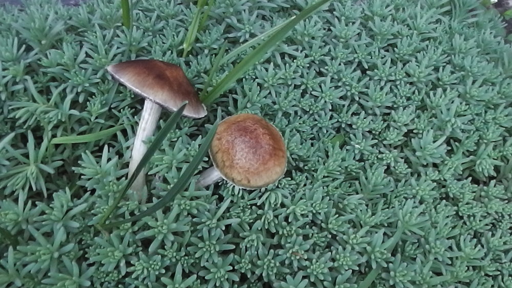 S1380006.JPG
