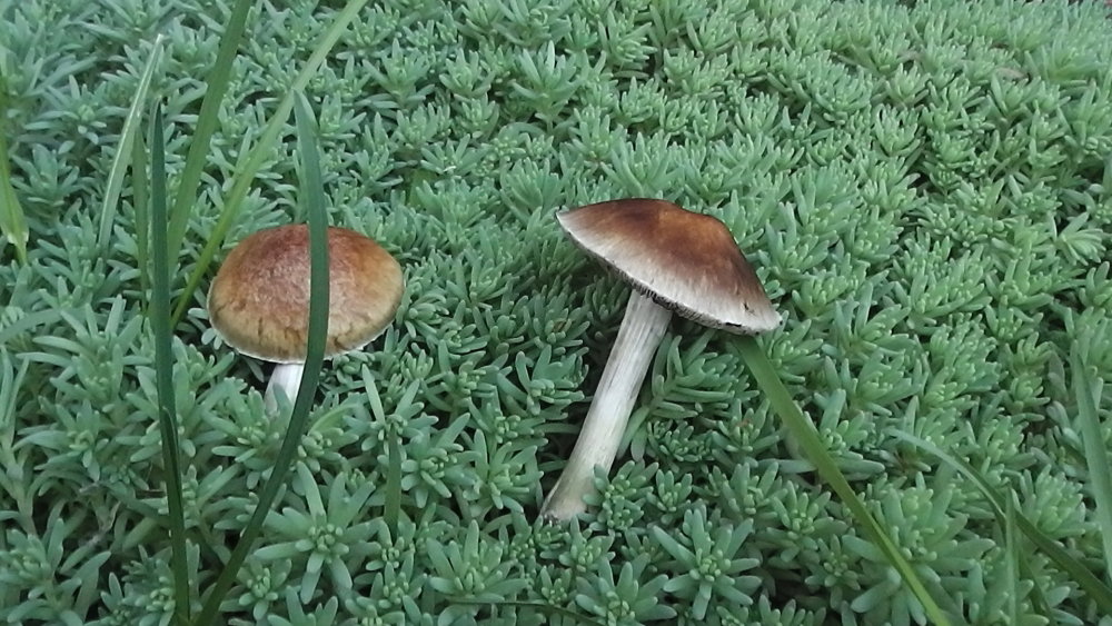 S1380008.JPG