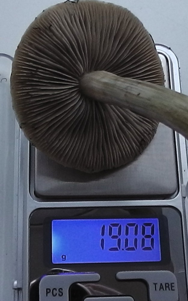 S1380011.JPG