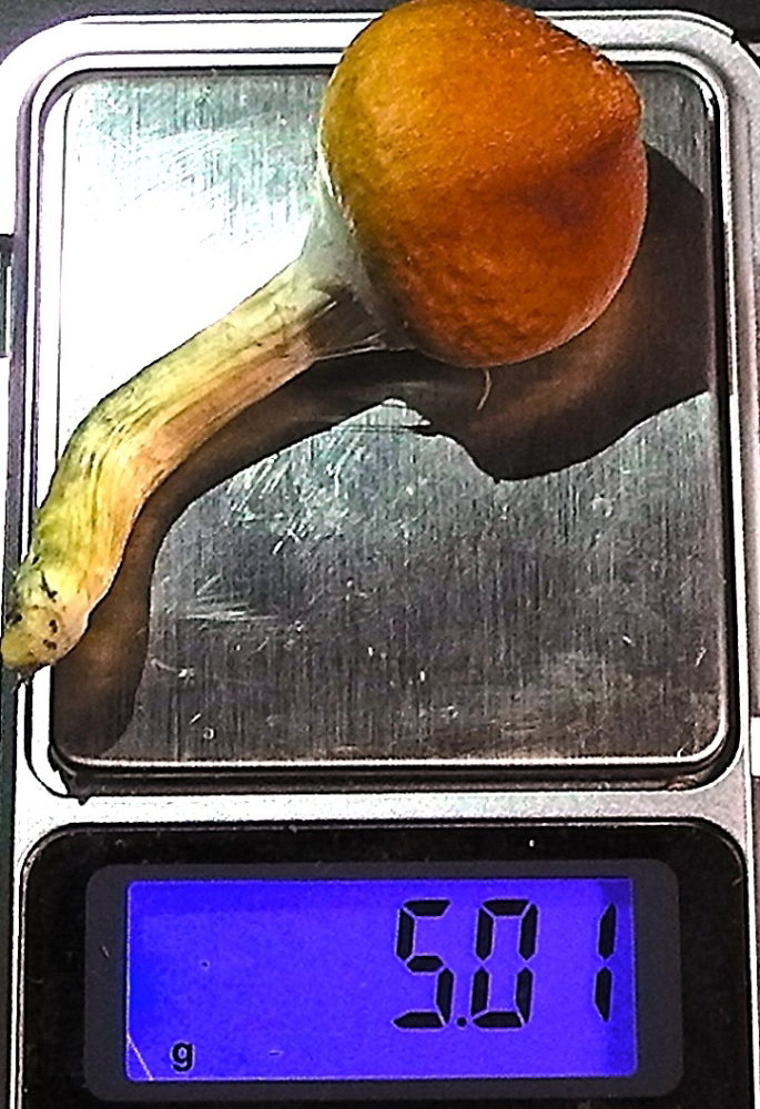S1470005.JPG