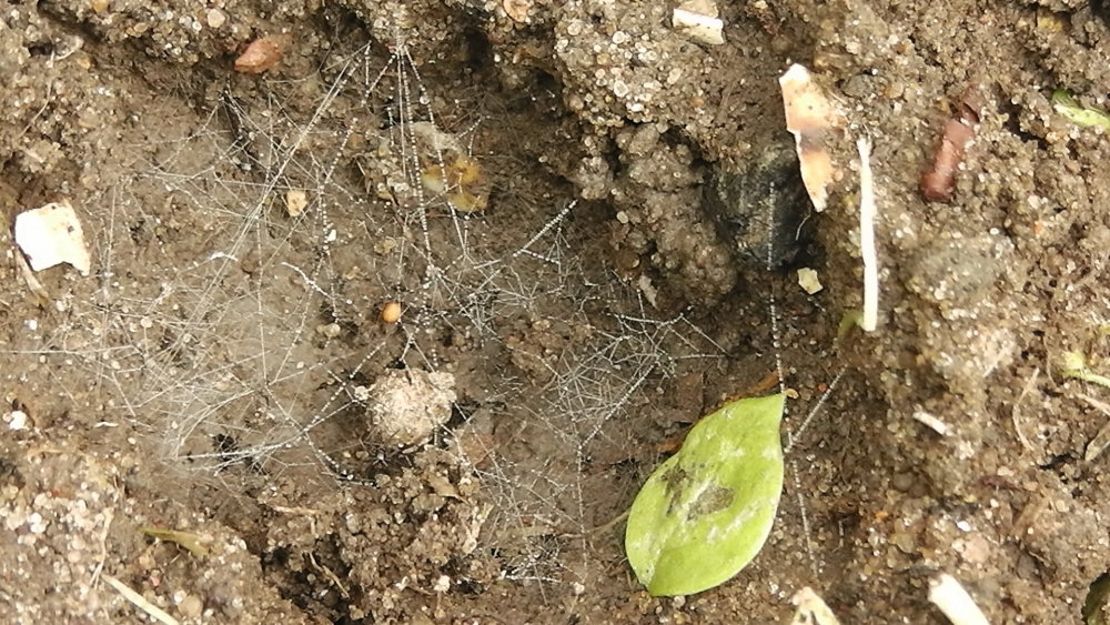 S1490001.JPG