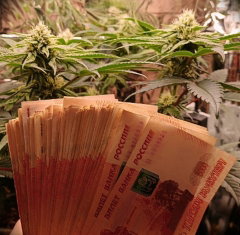 пресс, из неопубликованного