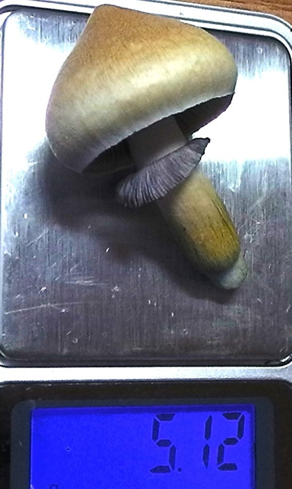 S1510013.JPG
