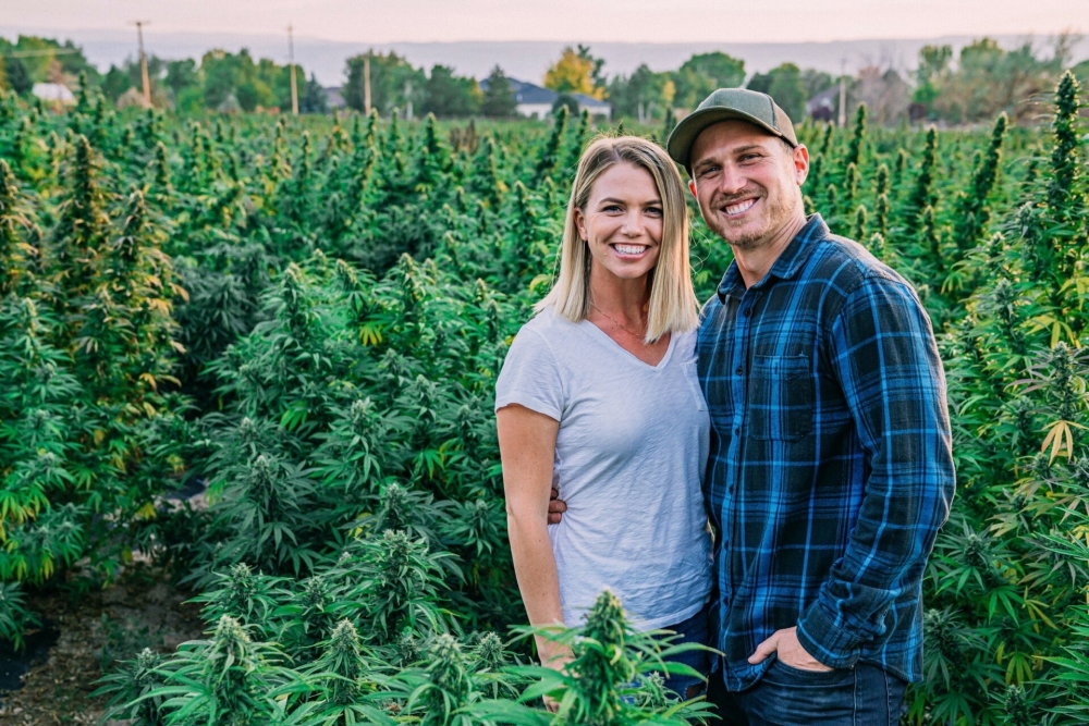 c-JoeyColeman__01867DesertFlowerFarmsHempCBDOil_1708015938685.jpg
