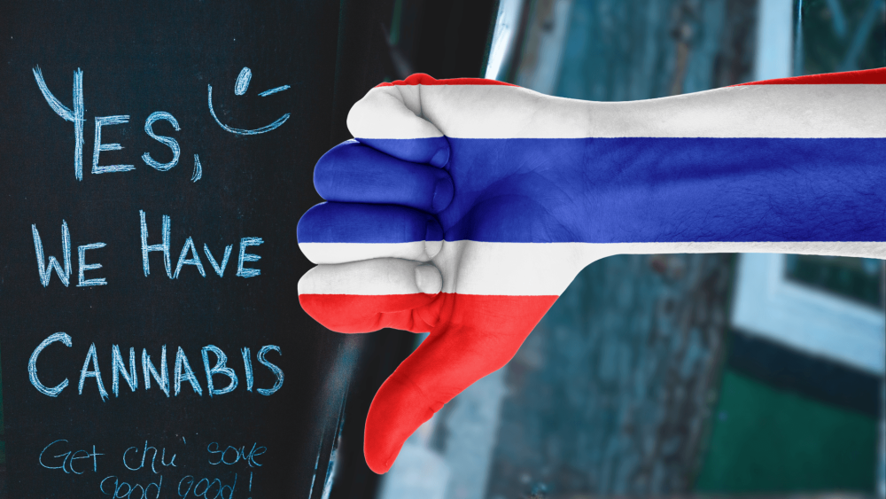 thailand-cannabis-rules (1).png