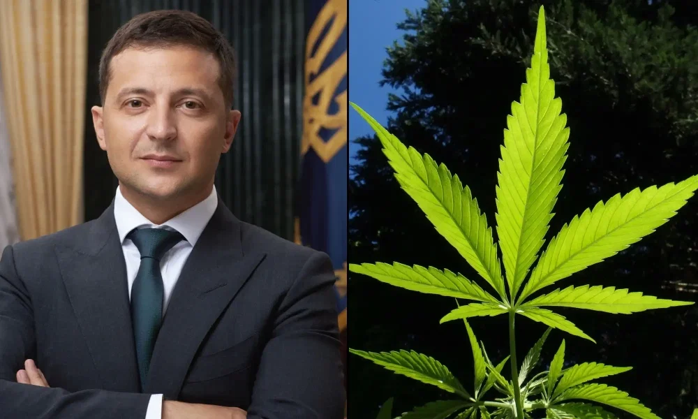 zelensky-marijuana.webp