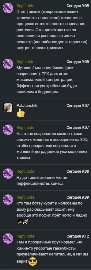 chatwisdom.jpg.41a31000bc3f9790e97aba03a4f6fc11.jpg