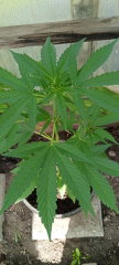 IMG20260704164022.jpg