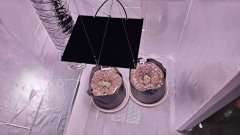 IMG_20260707_064519