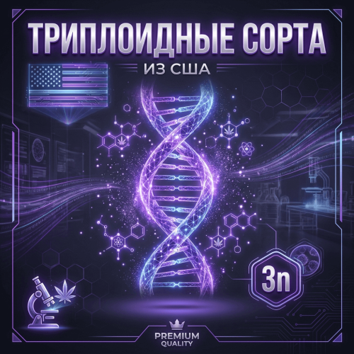 ТРИПЛОИДНЫЕ🧬 сорта США