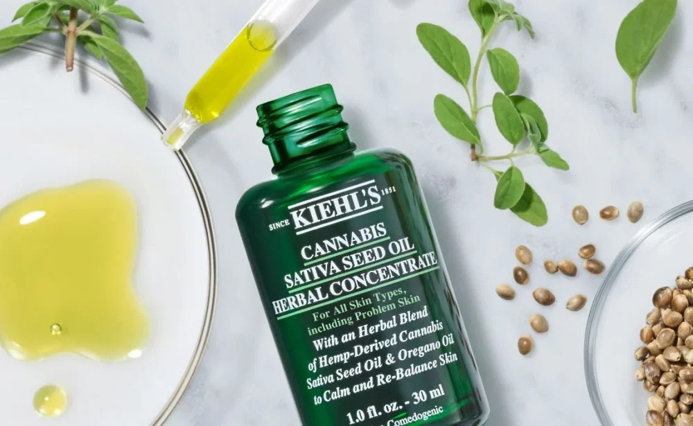 article-thumbnail_benefits-of-hemp-oil.thumb.webp.99ada89b2b72ac99782e39241cf77b12.webp