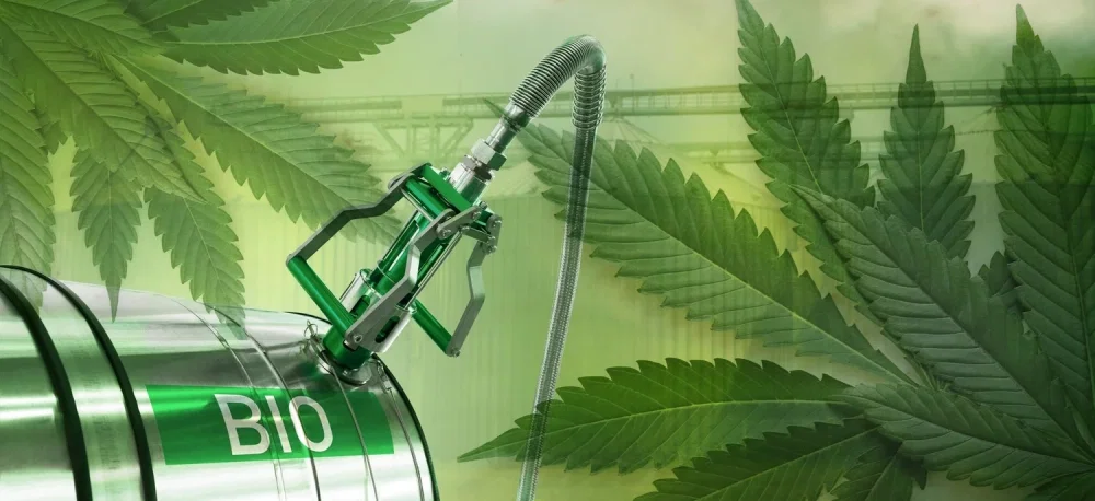 hemp-biofuel.thumb.webp.1b6080a7cbb5b1e78aaca02dd0fae28d.webp