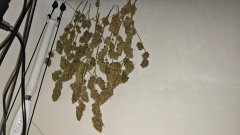 Дизель