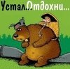 Medved