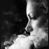 Cannabis sativa