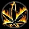 4.20