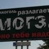 damir16