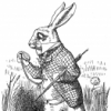 wh-rabbit