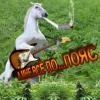 FARMOZOL