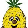 Dimoni