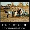 волынщик