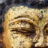 djedi