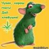 Zloycasper