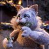 afghaniman