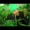 Kush101