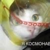 KOCMOHABT