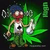 mayzer